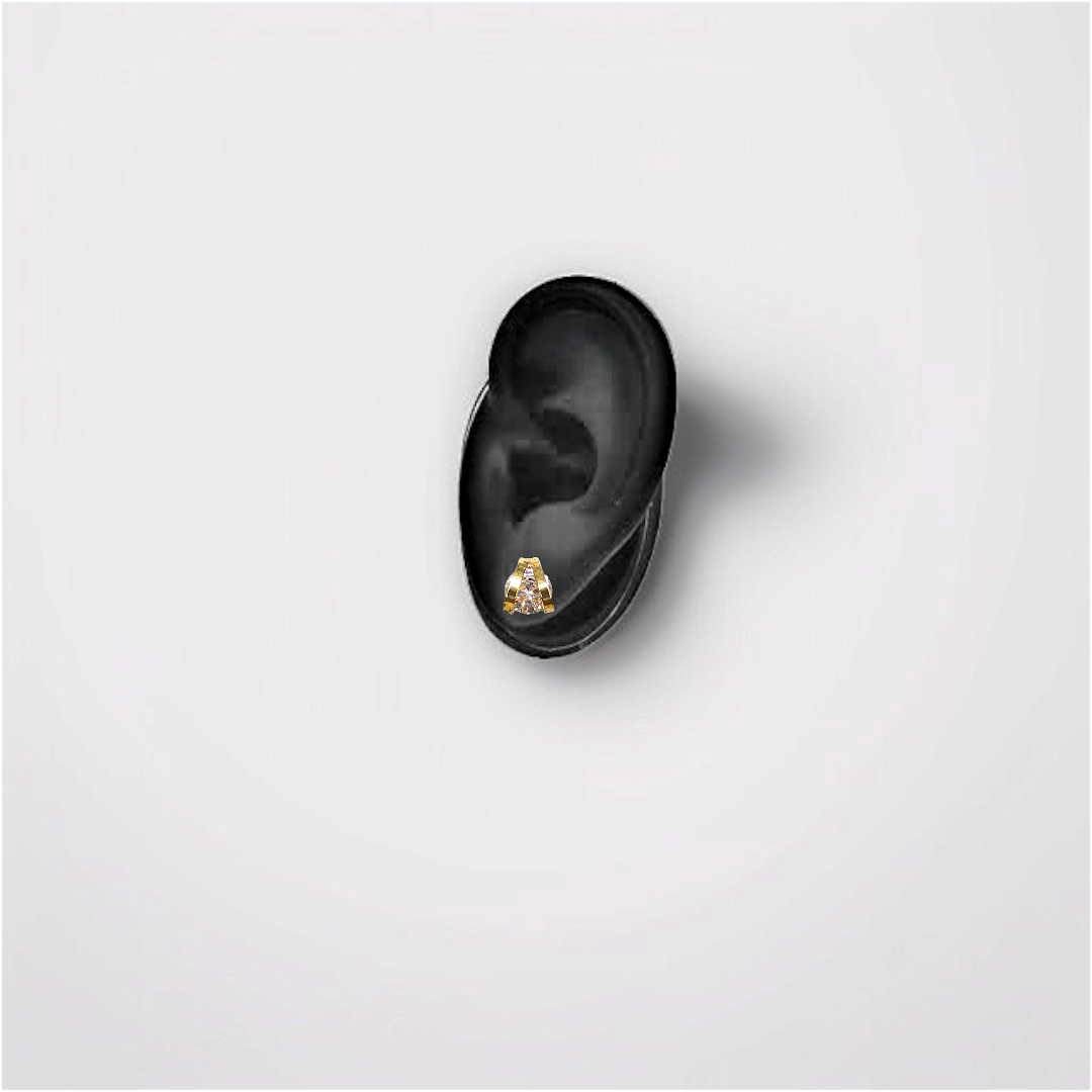Gold Caged Crystal Stud Earrings