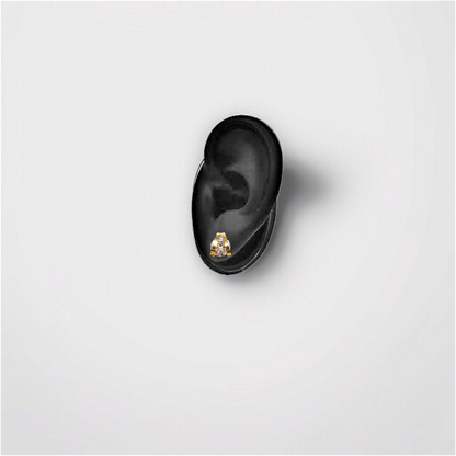 Gold Caged Crystal Stud Earrings