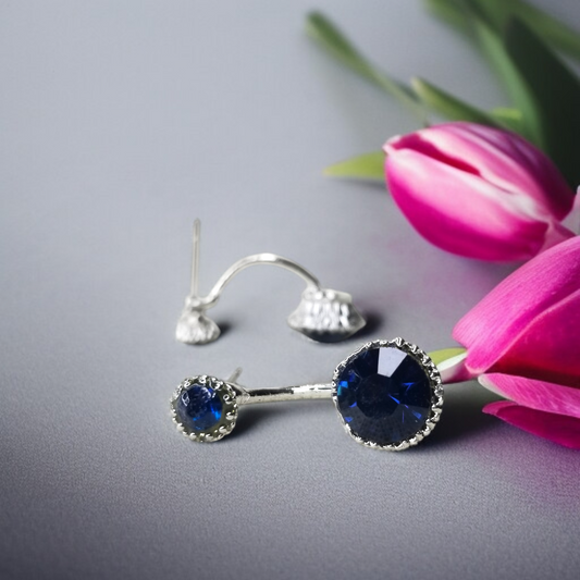 Blue Crystal Front-Back Earrings